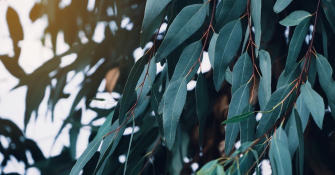 Counselling and Psychotherapy